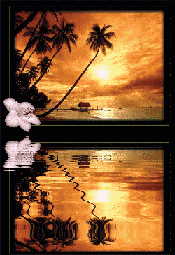 reflet